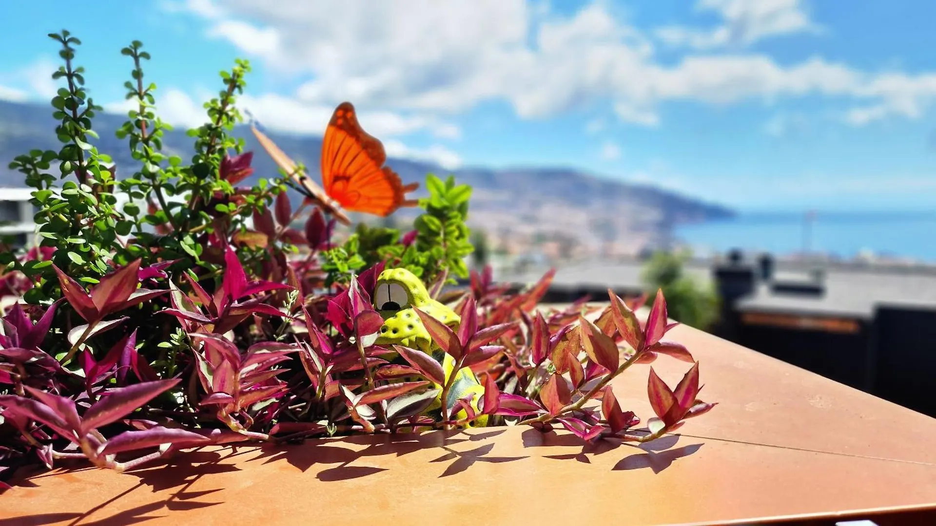 Appartamento Blissful Suite By Lovelystay Funchal